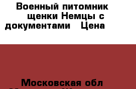 Военный питомник - щенки Немцы с документами › Цена ­ 10 000 - Московская обл., Москва г. Животные и растения » Собаки   . Московская обл.,Москва г.